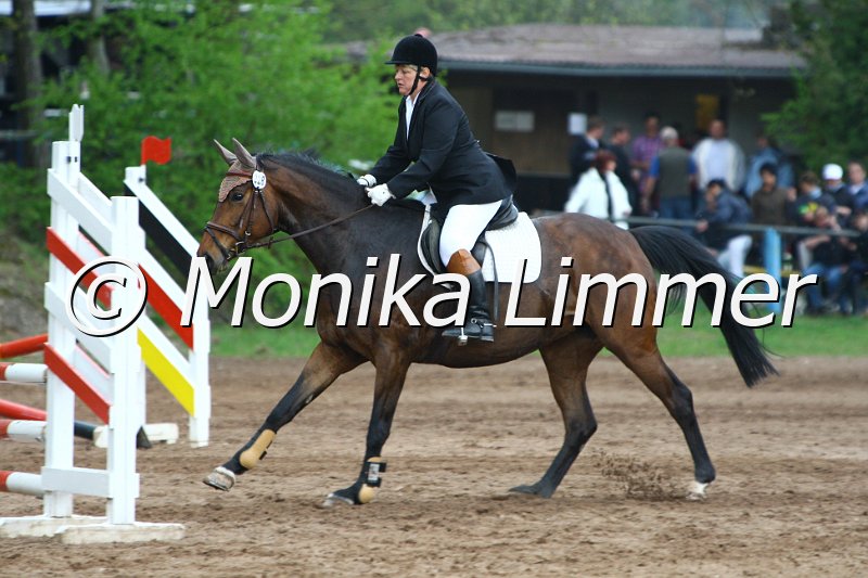 005L3873_Royal Princess_Stil_A.JPG